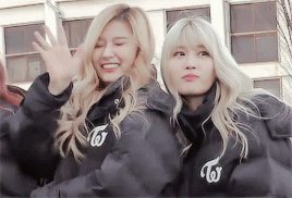 사나 반죽하는 모모.gif | 인스티즈