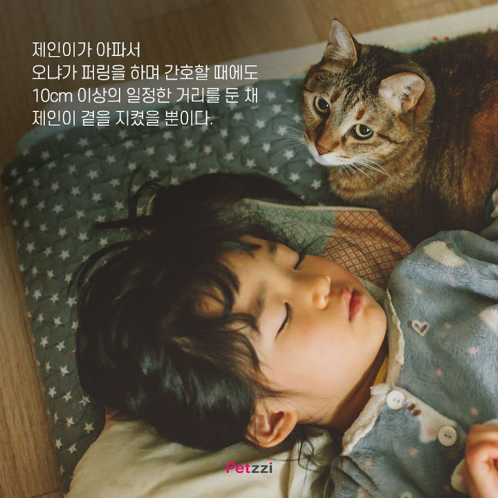 아기와 고양이의 교감 | 인스티즈