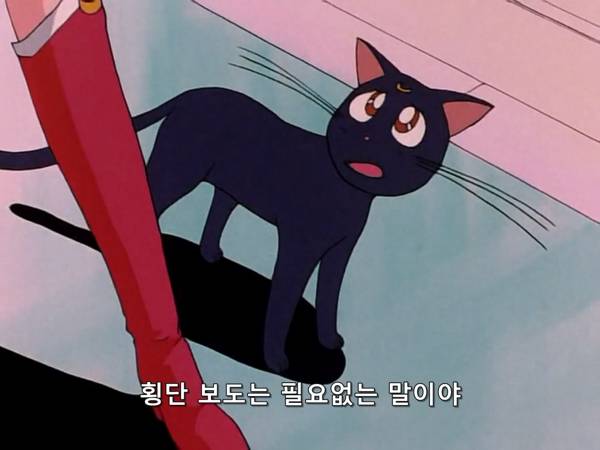 미소녀 전사 세일러문 (美少女戦士セーラームーン) 03 | 인스티즈