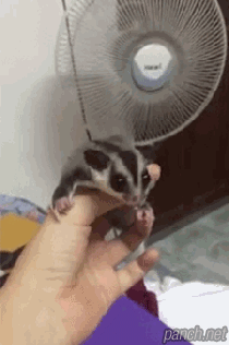 날크 나이트.jpg | 인스티즈