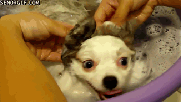 귀여운 녀석들 | 인스티즈