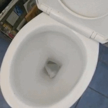 변기에서 소리가나서 물을 내렸더니.. | 인스티즈