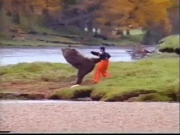 아무생각없이 들어왔는데 뻘하게 터지는 짤들 | 인스티즈