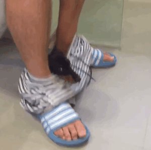 전생에 캥거루였던 댕댕이 | 인스티즈