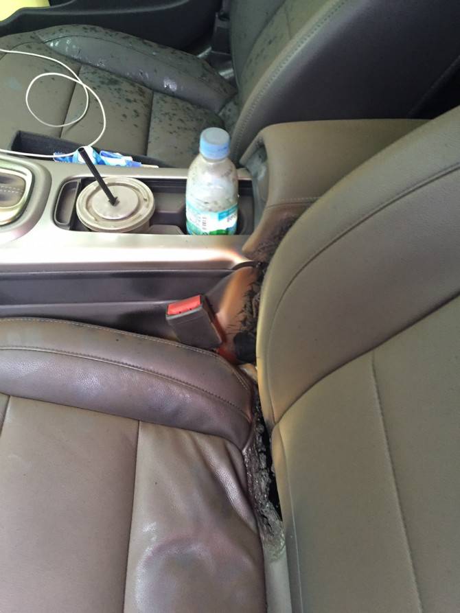 말리부 시트화재 ㄷㄷㄷㄷㄷㄷ | 인스티즈