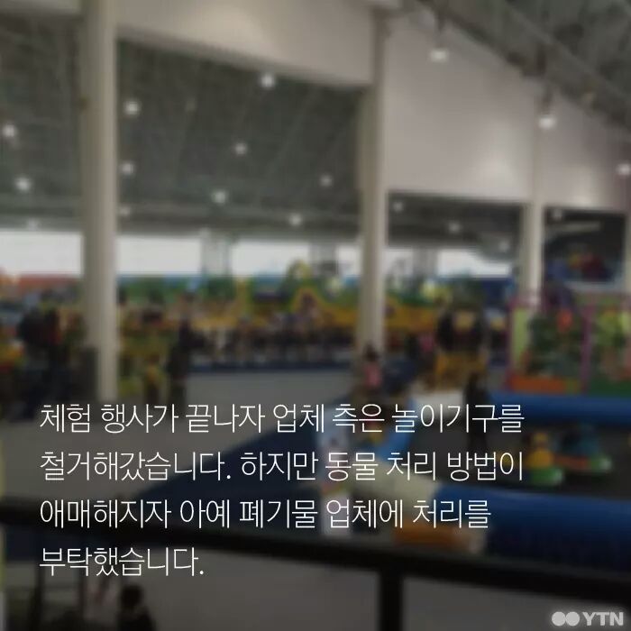 햄스터가 폐기물인가요? | 인스티즈