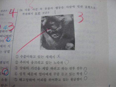 최고의 난이도를 자랑하는 초등학교 문제 | 인스티즈