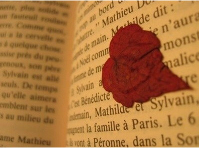 과거에 집착하는 사람이 되고 싶진 않지만 되돌리고 싶은 시간은 누구에게나 있는 것 | 인스티즈