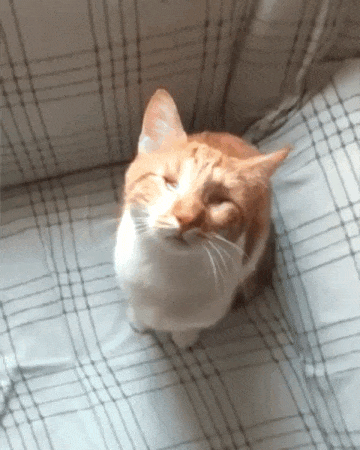 보이지 않아도 느껴져 | 인스티즈