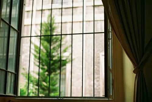  신촌의 어느 한 스파게티집 이라고 했다 | 인스티즈