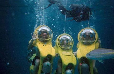 하와이에서 탈 수 있는 하와이스쿠터.jpg | 인스티즈