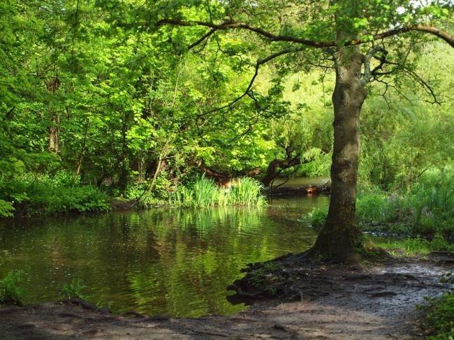 마음이 정화되는 게시물 | 인스티즈