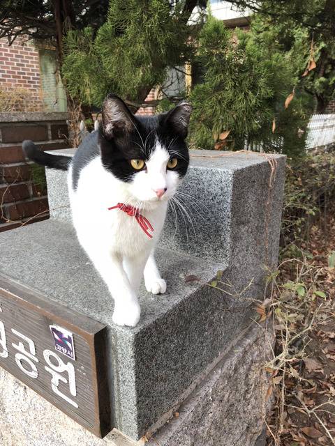 아이폰x 찍은 사진 몇장 | 인스티즈