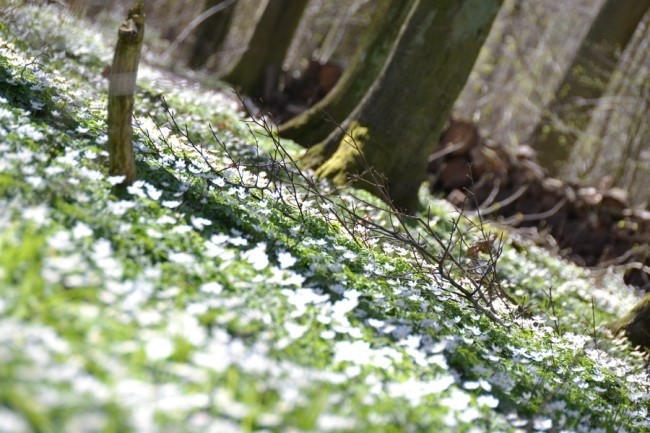 마음이 정화되는 게시물 | 인스티즈