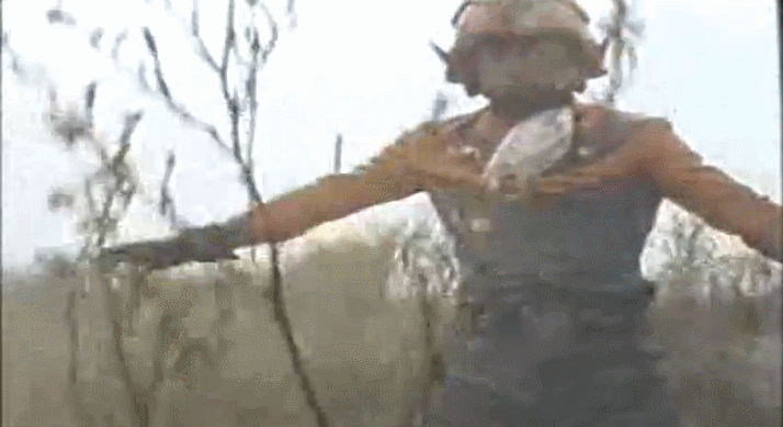 역대 모든 울트라맨 변신장면 .GIF | 인스티즈