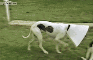 혼밥하는거 너무 이기적인거 아닌가요??테이블을 혼자 차지하다뇨.. | 인스티즈