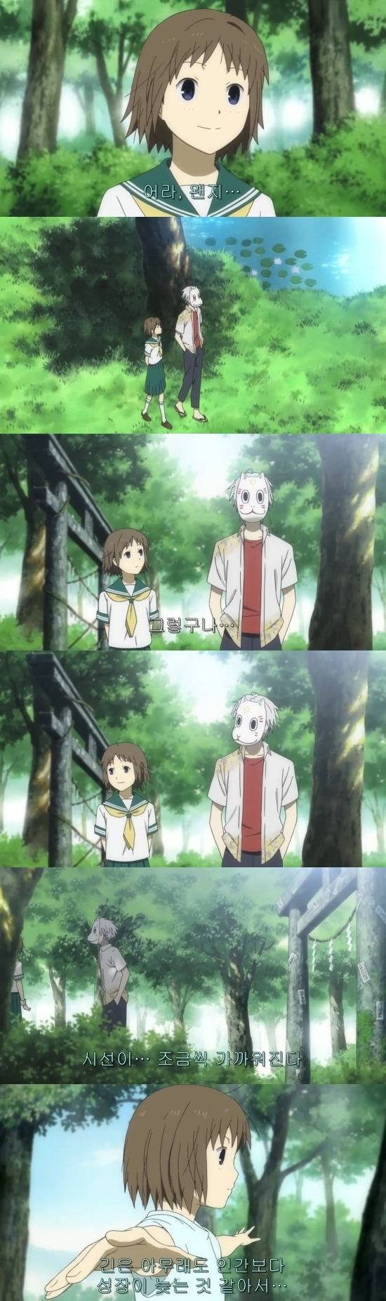 반딧불이의 숲으로 전편 | 인스티즈