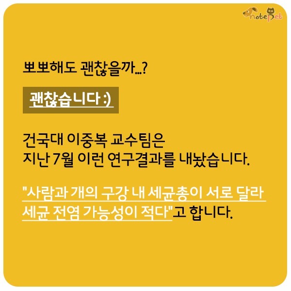 강아지가 뽀뽀 하는이유 | 인스티즈