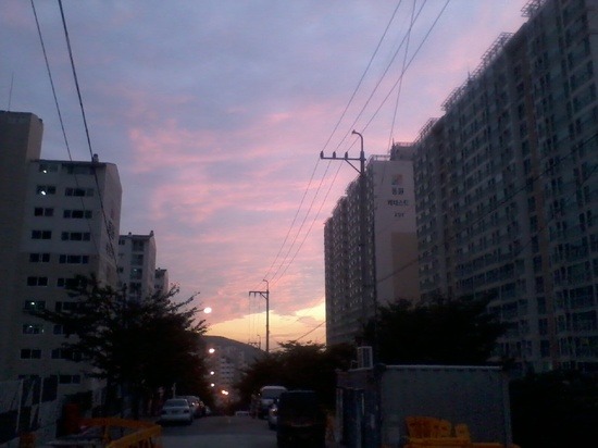 우리 초딩때 추억돋는 초여름밤.jpg | 인스티즈