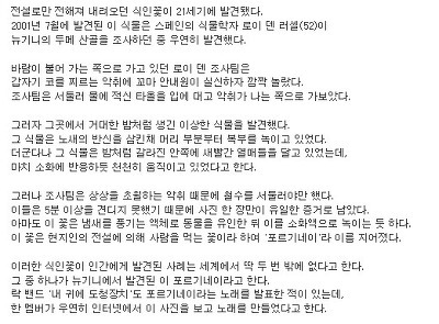 미스테리 식인식물 포르기네이 | 인스티즈
