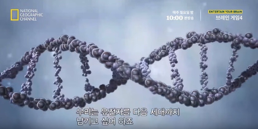 당신이라면 누구를 구하겠습니까? | 인스티즈