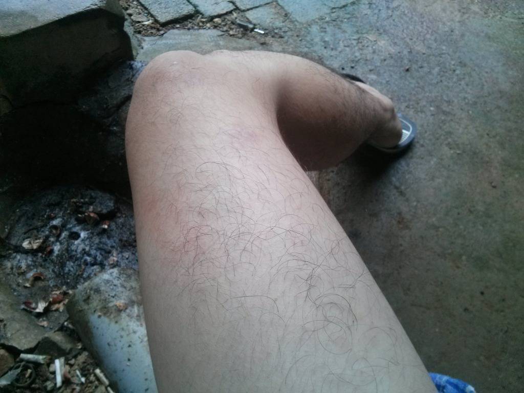 남자,다리털의 단계 | 인스티즈