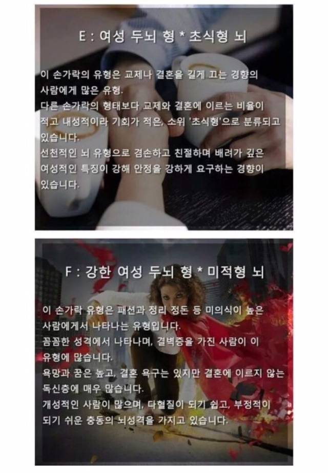 세계에서 가장정확한 뇌 성격테스트 | 인스티즈