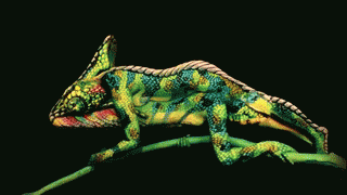 완전 신기함 ㅋㅋㅋㅋㅋㅋㅋㅋ.gif | 인스티즈