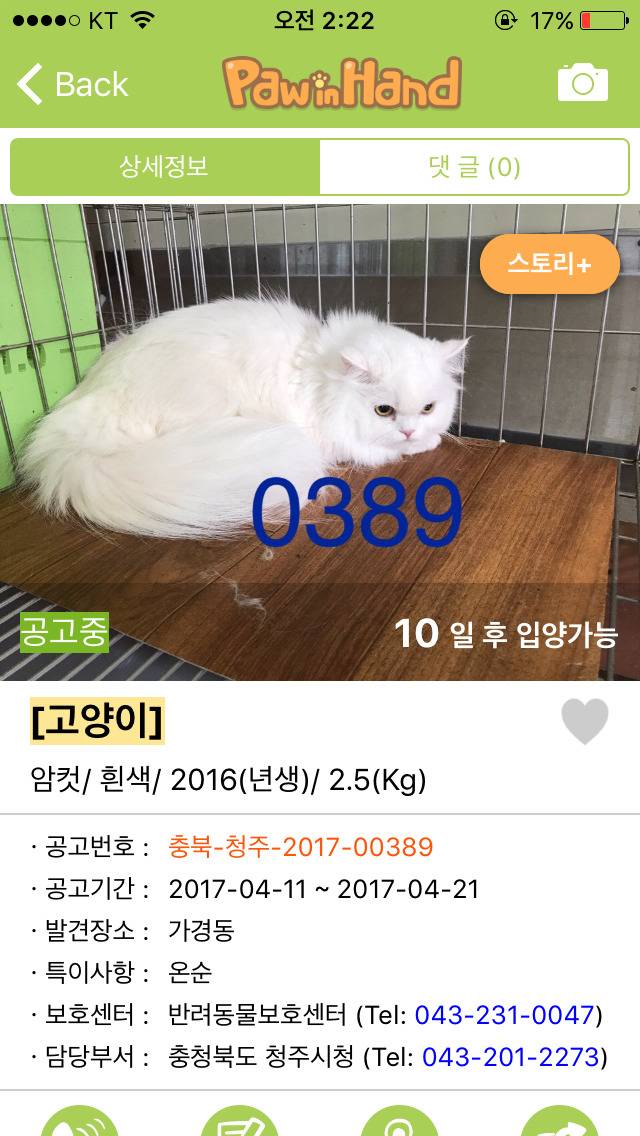 반려동물 키워보고 싶은 사람들에게 추천하는 어플 | 인스티즈