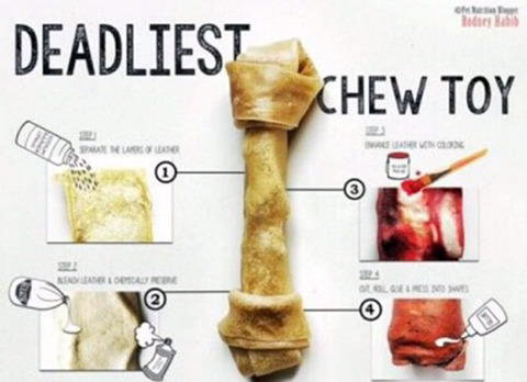 죽음을 부르는 개껌.jpg | 인스티즈