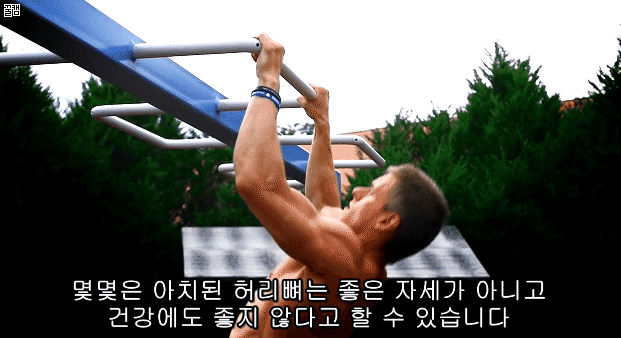 퍼펙트 풀업 (정자세 턱걸이) 하는법.jpg,gif | 인스티즈