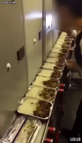 기미상궁.gif | 인스티즈