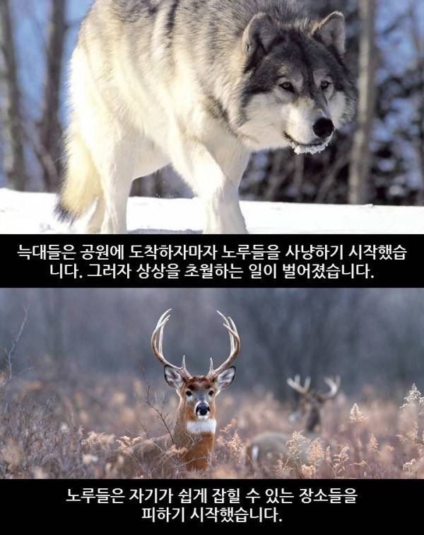 자연의 신비 | 인스티즈