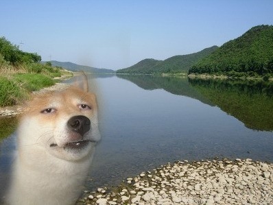 대학생에게 유용한 정보 | 인스티즈