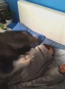 꾹꾹이라 하면 당연히 고냥이부르는거지! | 인스티즈