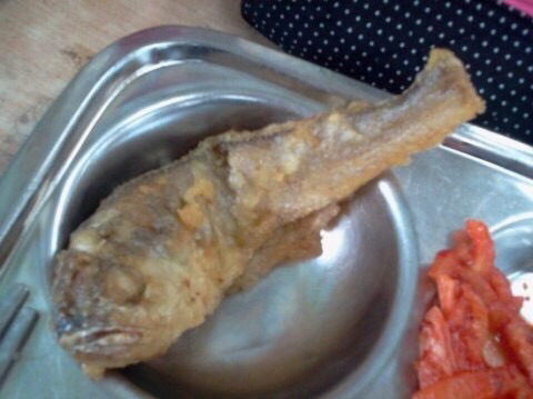 40년동안 이것만 먹고 살면 100억 한다 vs 안한다 | 인스티즈