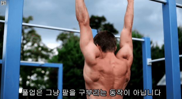 퍼펙트 풀업 (정자세 턱걸이) 하는법.jpg,gif | 인스티즈