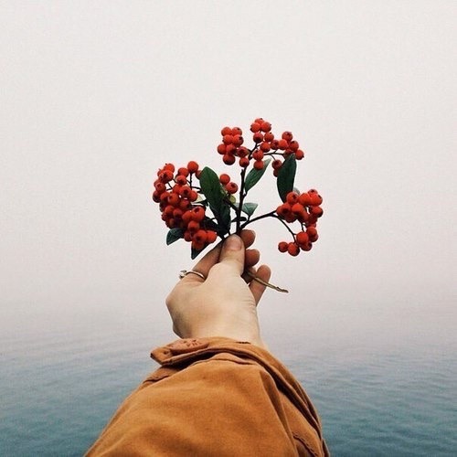 하품도 재채기도 마른 기침까지도 다 사랑했다 정인이여 | 인스티즈