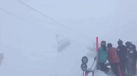 스키와 바이킹을 한번에 | 인스티즈