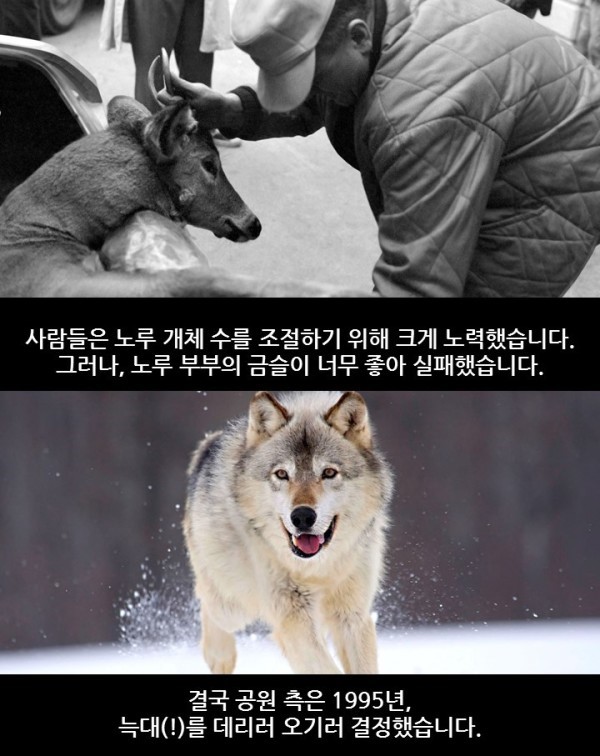 자연의 신비 | 인스티즈