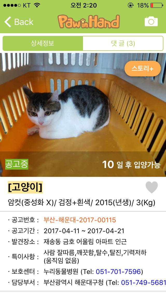 반려동물 키워보고 싶은 사람들에게 추천하는 어플 | 인스티즈