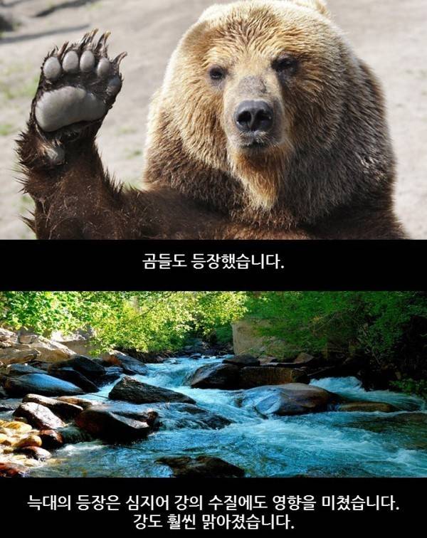 자연의 신비 | 인스티즈