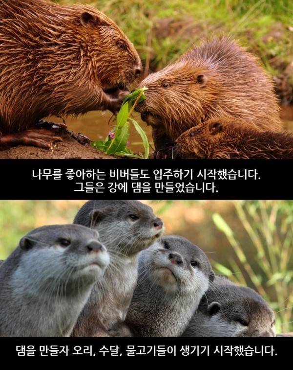 자연의 신비 | 인스티즈