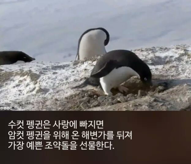 신기한 사실들 | 인스티즈