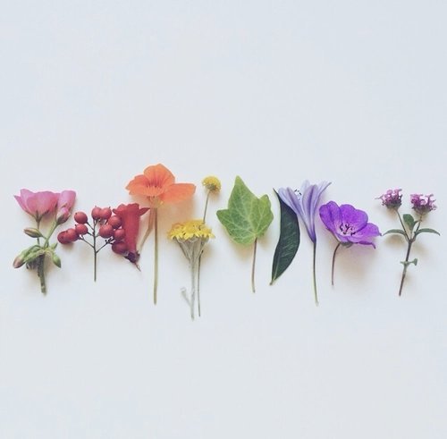 안 유명한데 실제로 먹어보면 되게 맛있다는 우리나라 옥수수 | 인스티즈