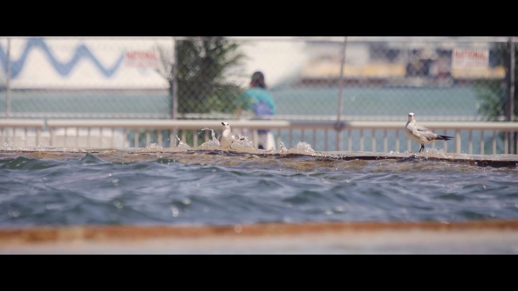 마이애미의 여름.jpg | 인스티즈