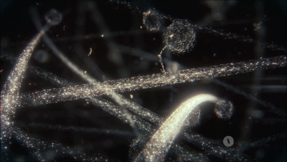 우리 몸에서 제일 귀여운 부분(혐오주의) | 인스티즈