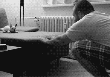 신뢰가 쌓이는 과정.gif | 인스티즈