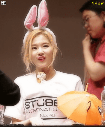 [트와이스] 나른한 오후에는 사나 | 인스티즈