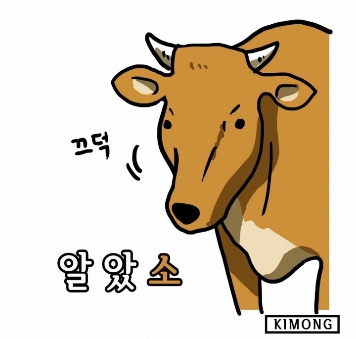 아저씨!! 여기에 차대지 말라고....... | 인스티즈